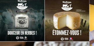 Cheese Discovering Event Triplets x Dofann