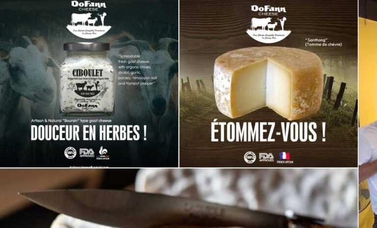 Cheese Discovering Event Triplets x Dofann