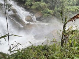 Thailand Yoga Retreat 12 Days In Chiang Mai