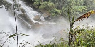 Thailand Yoga Retreat 12 Days In Chiang Mai