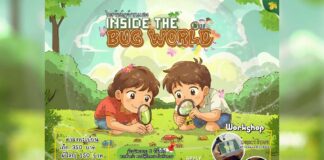 Inside the Bug World ไขรหัสวัฏจักรแมลง Inside the Bug World ไขรหัสวัฏจักรแมลง วันเสาร์ที่ 27 กันยายน 2568 เวลา 9.00-12.00 น. ณ อุทยานหลวงราชพฤกษ์