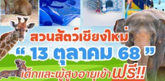 สวนสัตว์เชียงใหม่ 13 ตุลาคม 68 เด็กและผู้สูงอายุเข้าฟรี!!! สวนสัตว์เชียงใหม่ 13 ตุลาคม 68 เด็กและผู้สูงอายุเข้าฟรี!!! วันจันทร์ที่ 13 ตุลาคม 2568 ณ สวนสัตว์เชียงใหม่