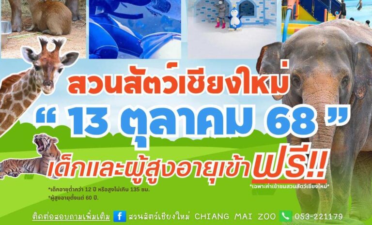 สวนสัตว์เชียงใหม่ 13 ตุลาคม 68 เด็กและผู้สูงอายุเข้าฟรี!!! วันจันทร์ที่ 13 ตุลาคม 2568 ณ สวนสัตว์เชียงใหม่