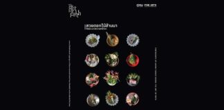 Photograph of Lanna Flower Cones: The Art of Faith "สวยดอก" บนความมืดมิด: สัจธรรมแห่งศรัทธาที่กำลังร่วงโรย สู่งานภาพถ่าย Still Life ที่สะกดวิญญาณ ณ มช.