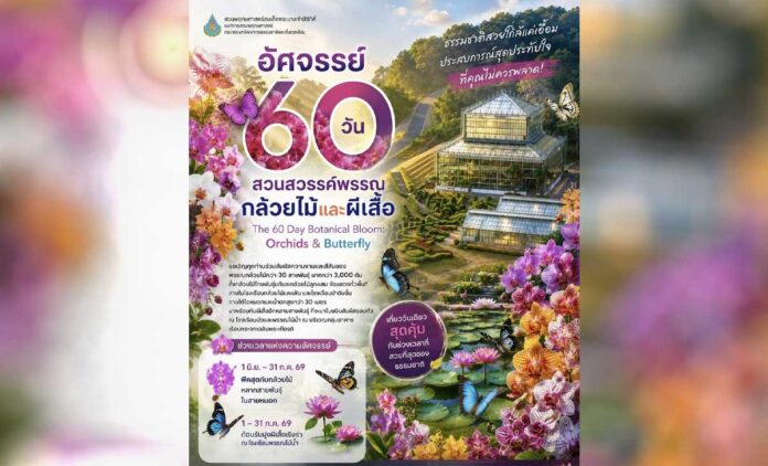 อัศจรรย์ 60 วันแห่งสีสันธรรมชาติ สวนสวรรค์พรรณกล้วยไม้และผีเสื้อ วันที่ 1 มิถุนายน - 31 กรกฏาคม 2569 ณ โรงเรือนป่าดิบชื้น และโรงเรือนกล้วยไม้และเฟิน (กลุ่มอาคารเรือนกระจกเฉลิมพระเกียรติ) #สวนพฤกษศาสตร์สมเด็จพระนางเจ้าสิริกิติ์ อ.แม่ริม จ.เชียงใหม่